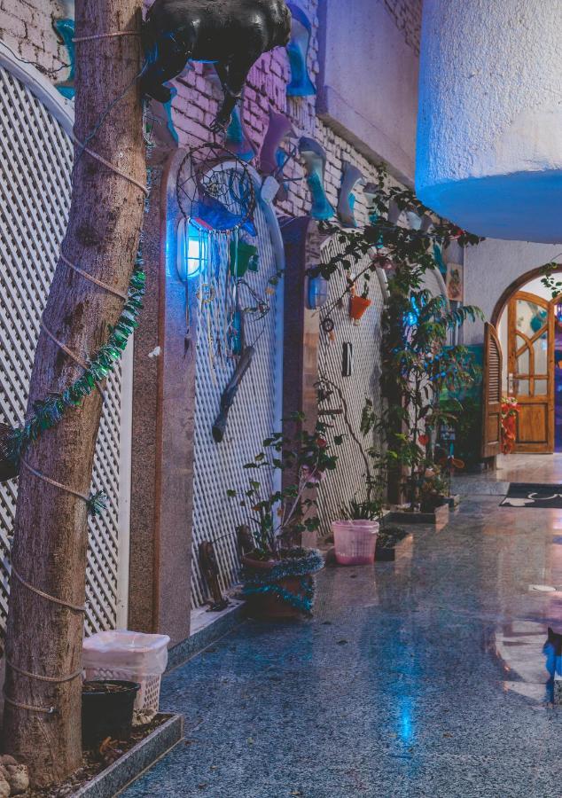 Gina Motel ダハブ エクステリア 写真